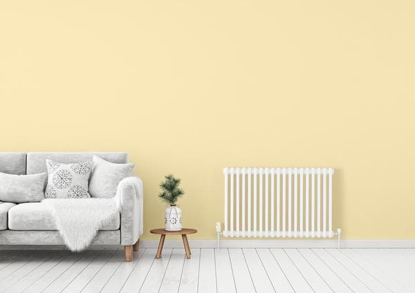 Centerrad Radiators CenterRad Column 2 Column Radiator 600 x 600 mm | Wolseley