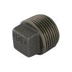 2 Inch Plug | Wolseley