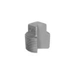 2 Inch Plug | Wolseley