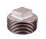 2 Inch Plug | Wolseley