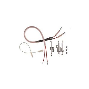 Image for Worcester Bosch electrode set (flame & ignition) from Wolseley