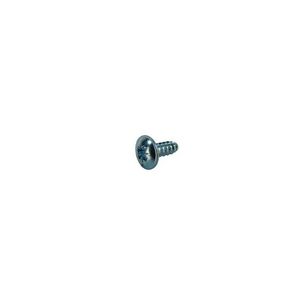 Image for Worcester Bosch screw iso no 6b x 9.5 recessed from Wolseley