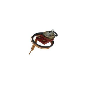 Image for Worcester Bosch manual reset limit thermostat (ranco) from Wolseley