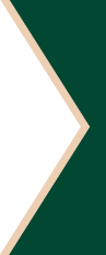 Image of a green background